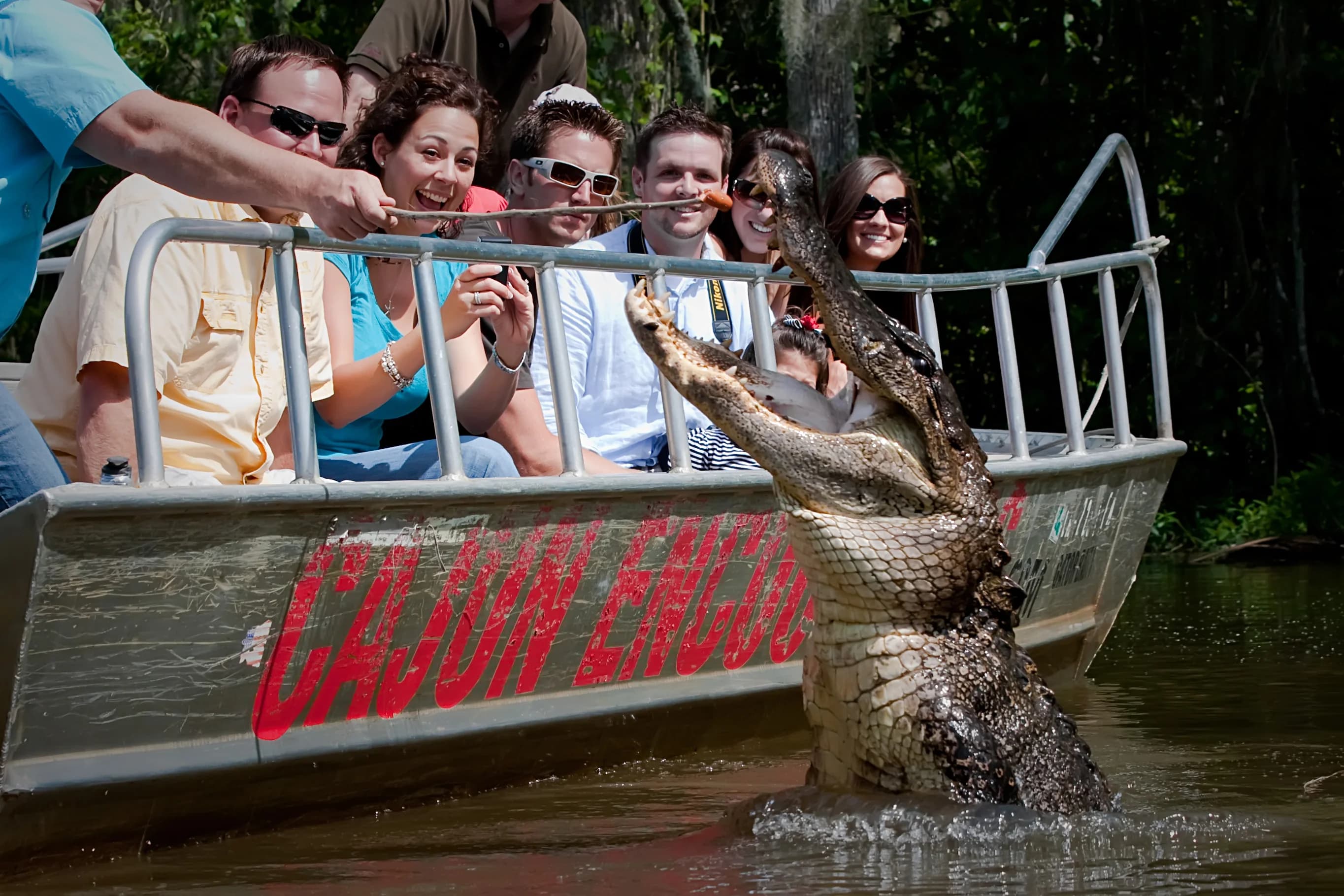 New Orleans Swamp Tours